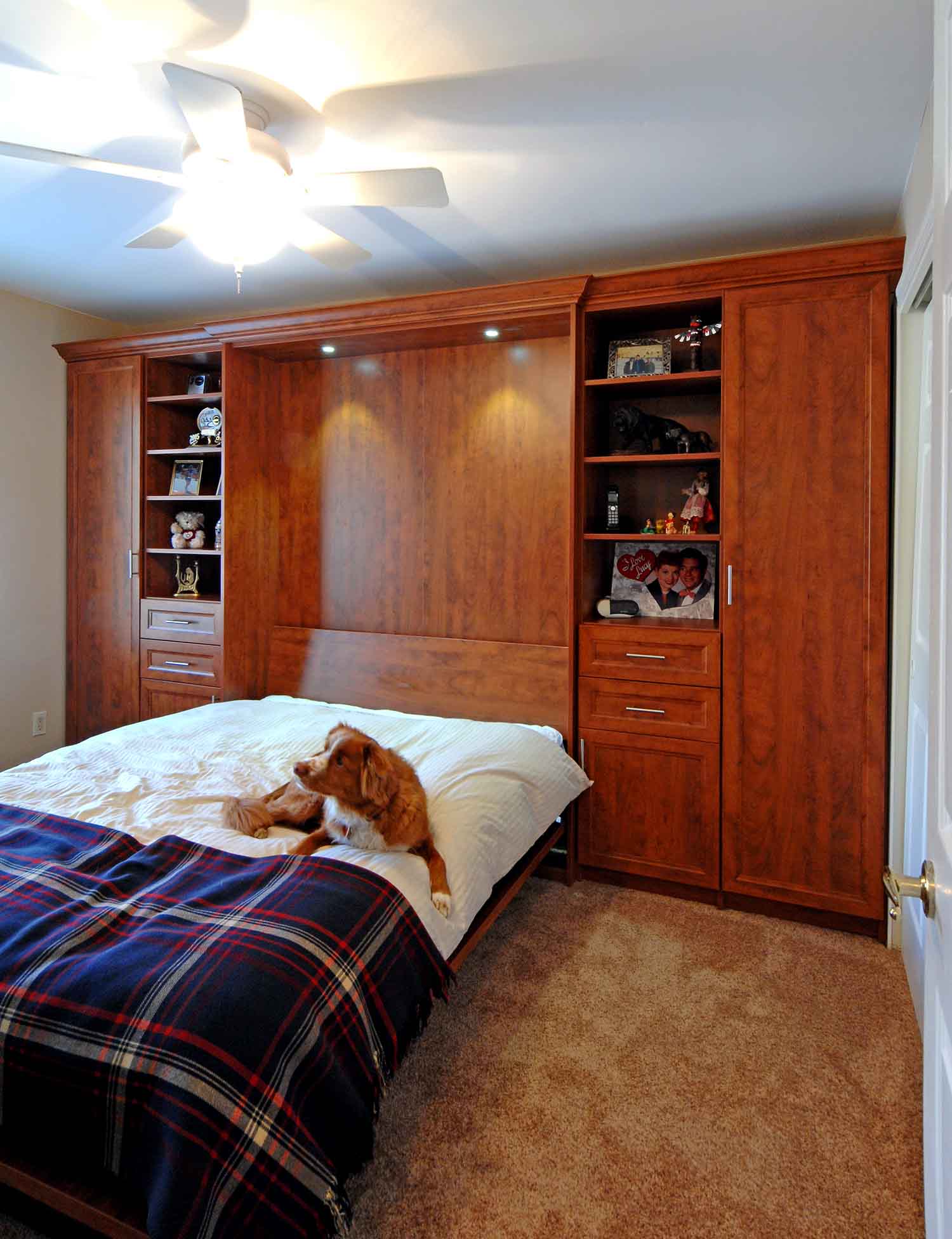 Murphy bed made with dog resting on top